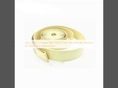 Nastro trasportatore 3100*21mm La soluzione definitiva per il trasporto dei materiali